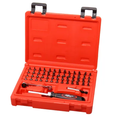Набор бит c мини-трещоткой и отверткой с храповым механизмом 55 предметов в кейсе JTC